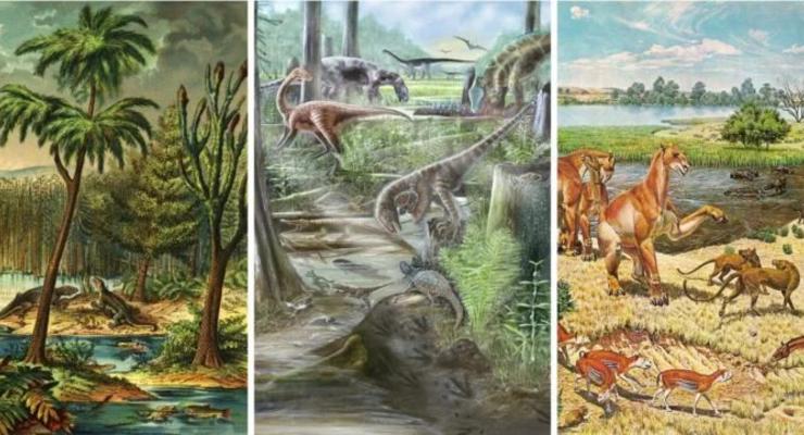 Разнообразие животных не изменилось со времени динозавров