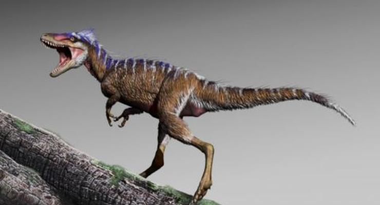 Найдены останки карликового предка тираннозавров