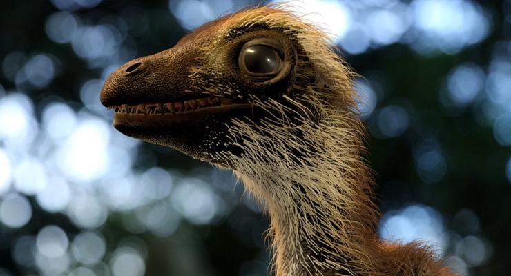 Беззащитный и пушистый: Ученые воссоздали внешний вид детенышей тираннозавра
