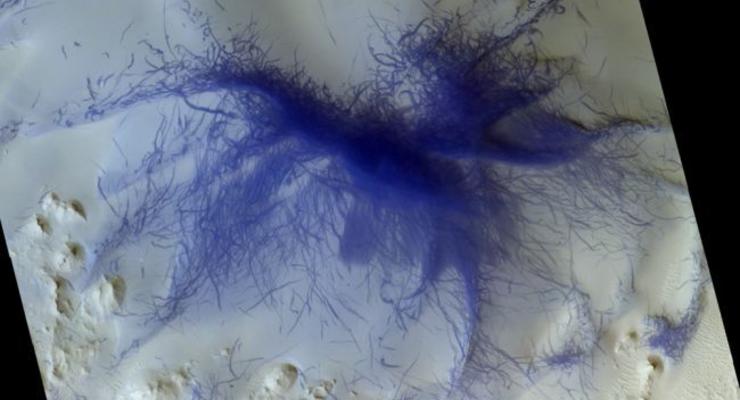 На Марсе засняли синего волосатого паука