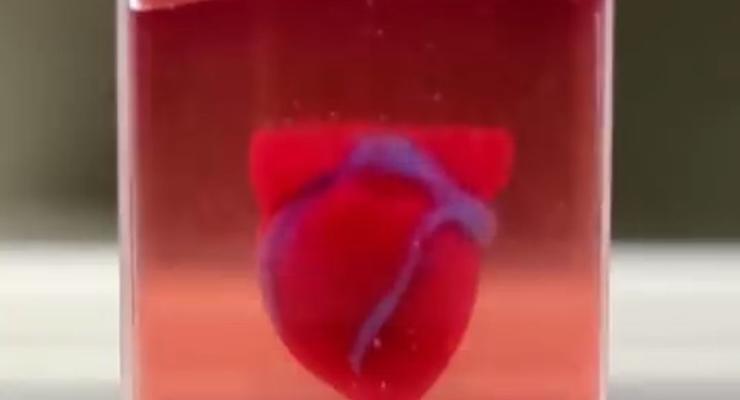 Человеческое сердце напечатали на принтере