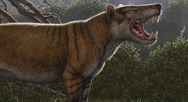 Король-лев: Найден самый крупный млекопитающих хищник