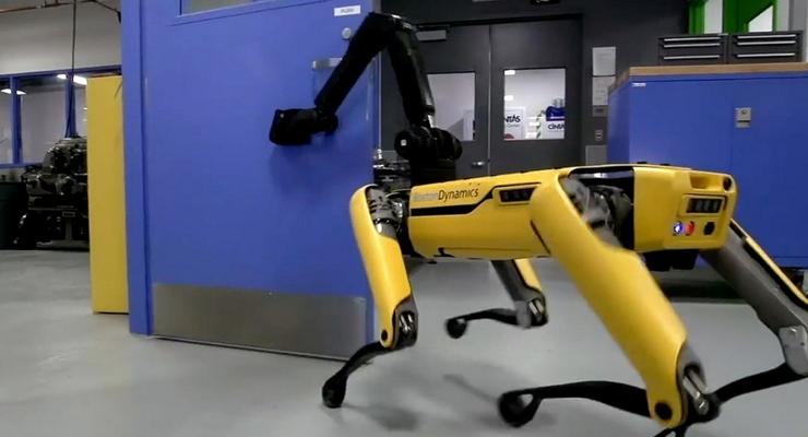 Роботов Boston Dynamics обучат драться
