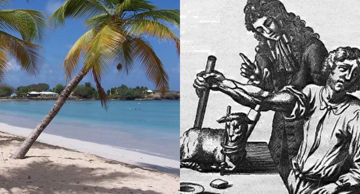 День в истории: 15 июня - Первое переливание крови и остров Мартиника