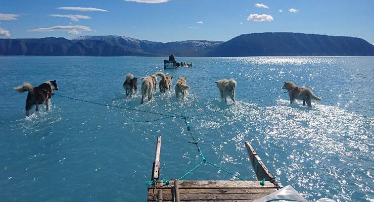 2019 год может стать рекордно жарким в Арктике