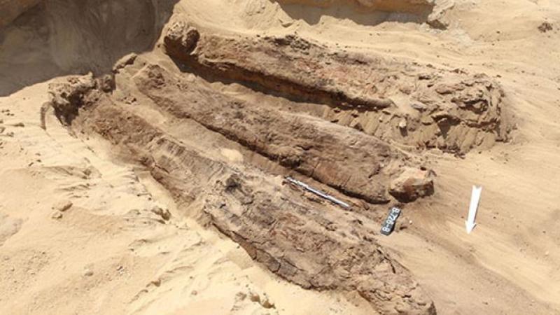 В Египте нашли новые мумии и путь в загробный мир / A. Kowalska
