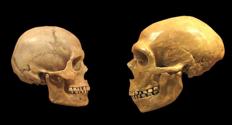 Найдены самые древнейшие люди за пределами Африки