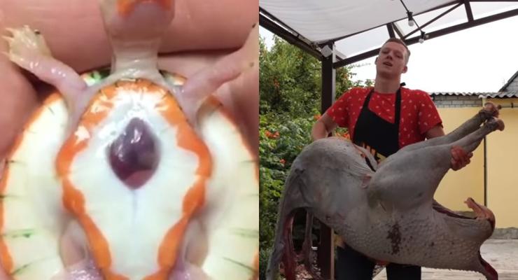 Видео дня: Приготовили огромного страуса и черепаха с открытым сердцем