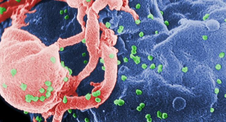 Интересный факт дня: Вирус папилломы защищает от рака