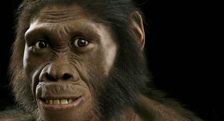 Интересный факт дня: Современные обезьяны умнее наших предков