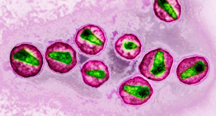 Вакцина против ВИЧ успешно вызвала иммунный ответ