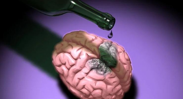 Интересный факт дня: Алкоголизм прячется в нейронах
