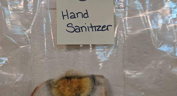 Почему важно мыть руки: Эксперименты
