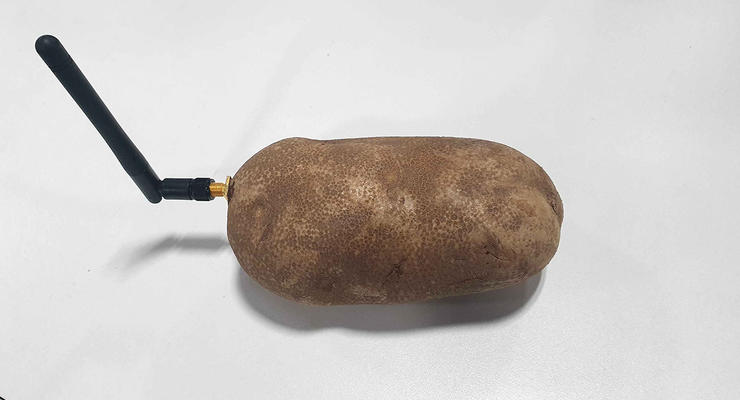 На выставке CES 2020 показали умную картошку