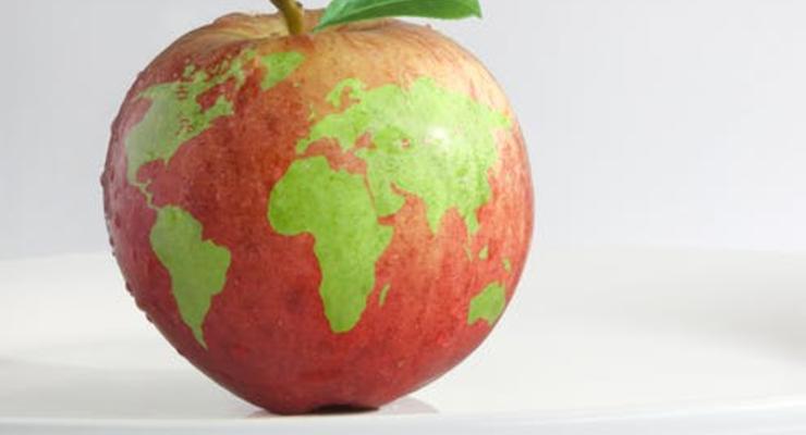 Наша планета может прокормить только 3,4 миллиарда человек