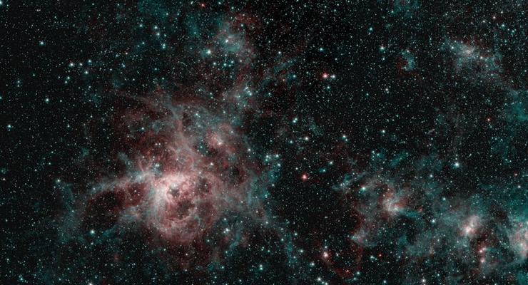 Тарантул во всей красе: Телескоп сделал удивительно фото туманности