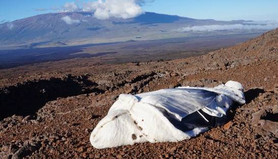Для похорон на Марсе создали погребальный костюм
