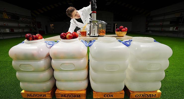 Сколько сока и отходов в 100 кг яблок: Эксперименты