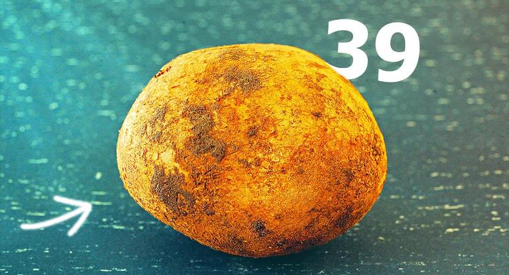 39 способов приготовить картошку: Эксперименты