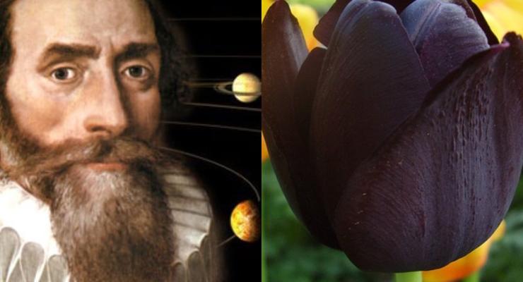 День в истории: 15 мая - Черный тюльпан и законы Кеплера