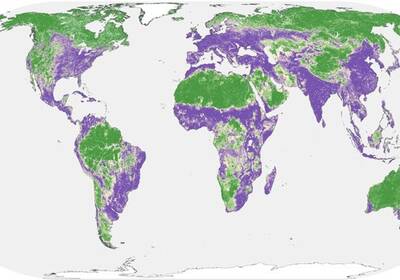 Почти половина нашей планеты не затронута деятельностью человека