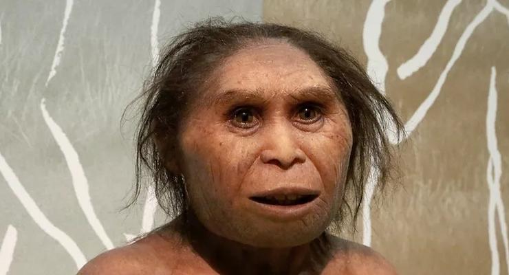 Ученые впервые расшифровали геном женщины-неандертальца