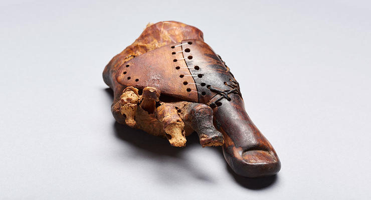 Найден старейший протез в мире