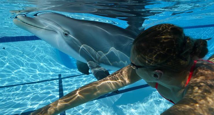 Дельфинов в океанариумах заменят роботы