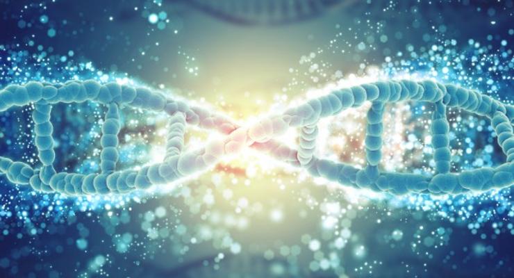 Генетики впервые полностью секвенсировали человеческую X-хромосому