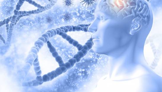 Первая в мире генная терапия устранила потерю памяти при Альцгеймере