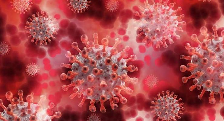 Обнаружен новый механизм заражения коронавирусом