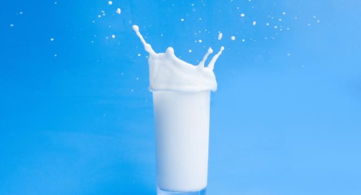 Создатели искусственного мяса изобрели искусственное молоко
