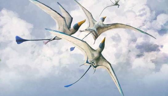 Гигантские ящерицы учились летать миллионы лет
