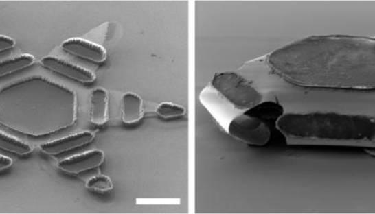 Ученые создали крошечные устройства для доставки лекарств в кишечник