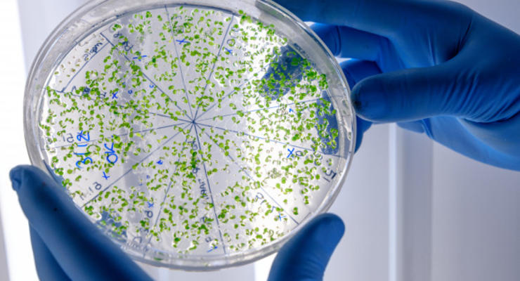 Ученые открыли колоссальное количество новых видов микробов