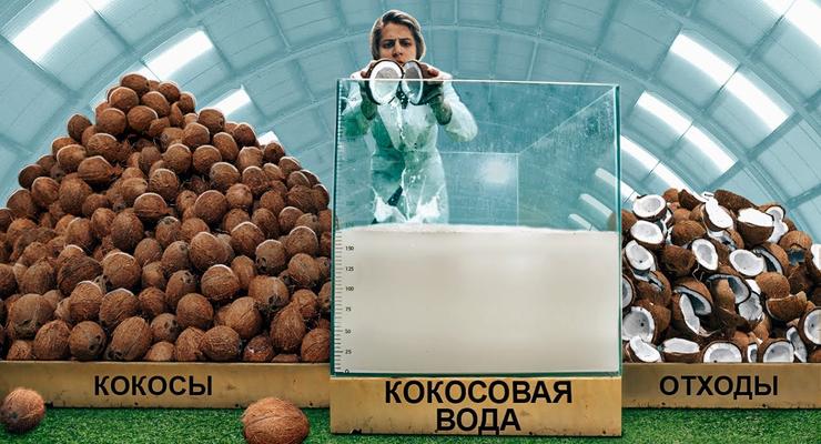 Сколько воды в 1000 кокосах: Эксперимент