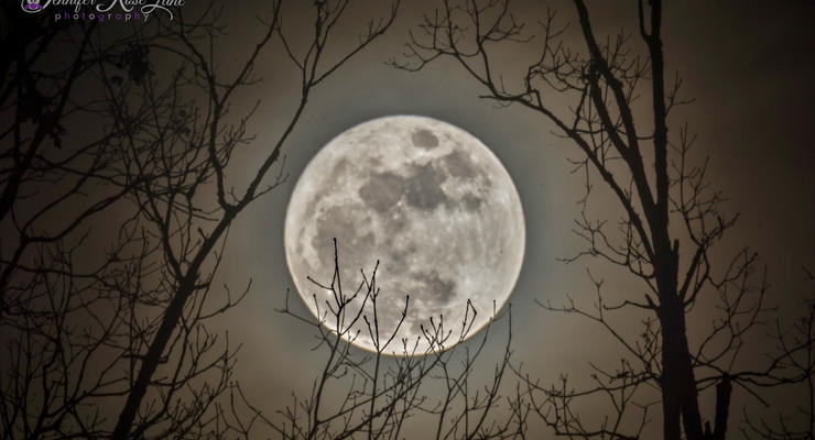Последнее полнолуние 2020 года: На небе появится Холодная Луна