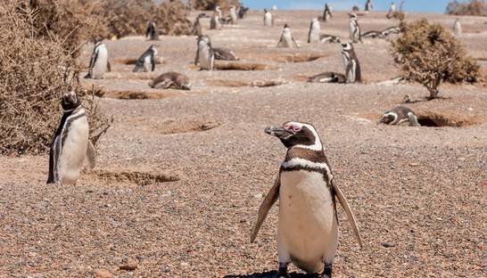 2020-й стал самым жарким в истории