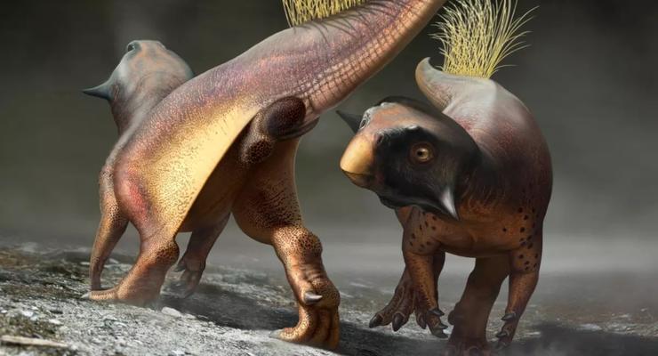 Интересный факт дня: Впервые найдена задница динозавров