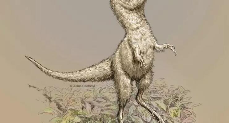 Интересный факт дня: Детеныши тираннозавров были размером с собаку