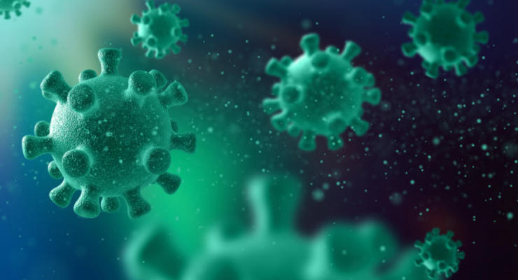 Обнаружена иммунная система, обеспечивающая защиту от вторжений вирусов