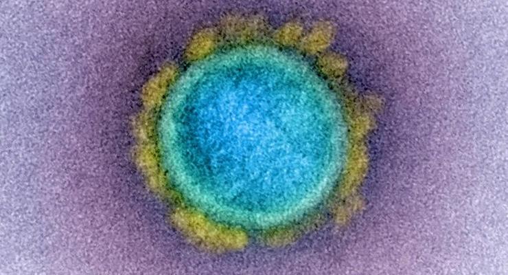 Ученые: Мутации коронавируса могут сделать прививки бесполезными