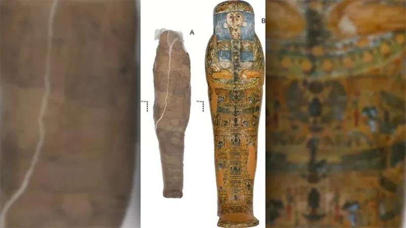 Найдена древняя мумия в странном коконе / Sowada