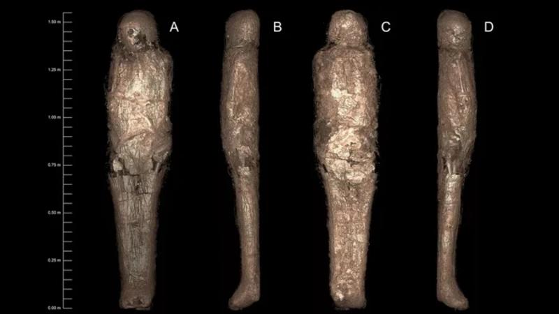 Найдена древняя мумия в странном коконе / Sowada