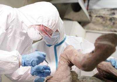 В вечной мерзлоте Сибири нашли доисторические вирусы