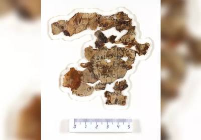 В израильской пещере ужаса нашли библейский свиток