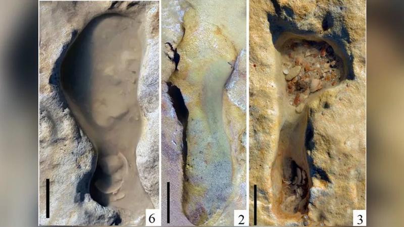 Найдена древнейшая песочница неандертальцев / Scientific Reports