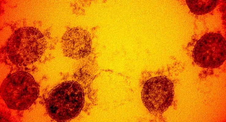 Теперь и бразильский: Ученые рассказали о более заразном штамме коронавируса
