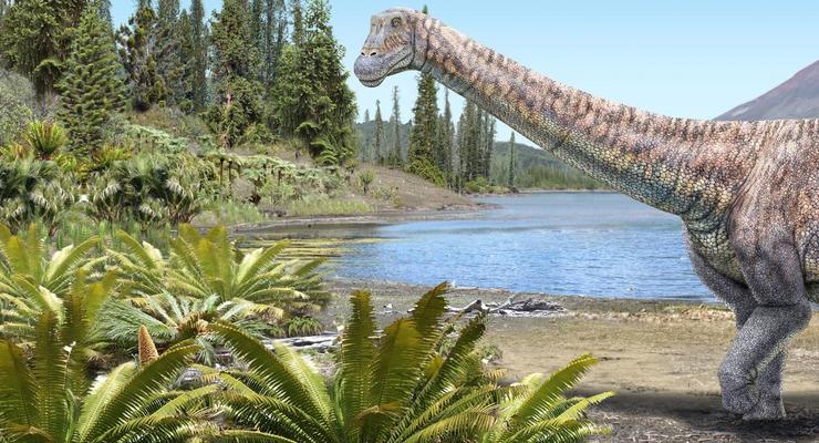 В Чили обнаружен новый вид гигантских динозавров