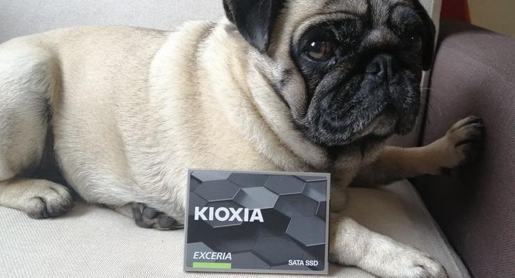 Быстрый и доступный: Обзор накопителя Kioxia Exceria SATA SSD 1TB